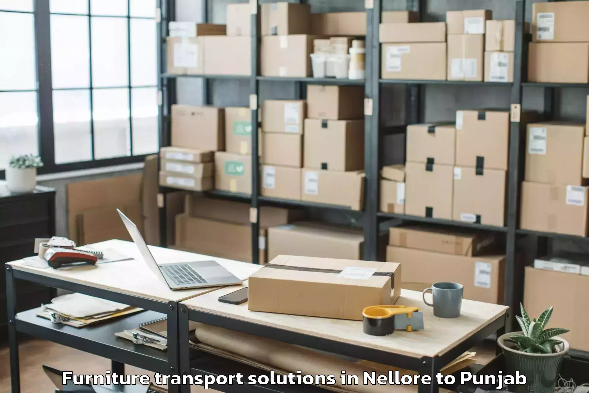 Professional Nellore to Mohali Furniture Transport Solutions